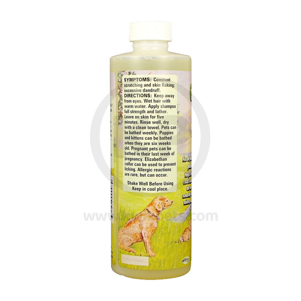 Goodwinol Shampoo for Cats Dogs 8-oz