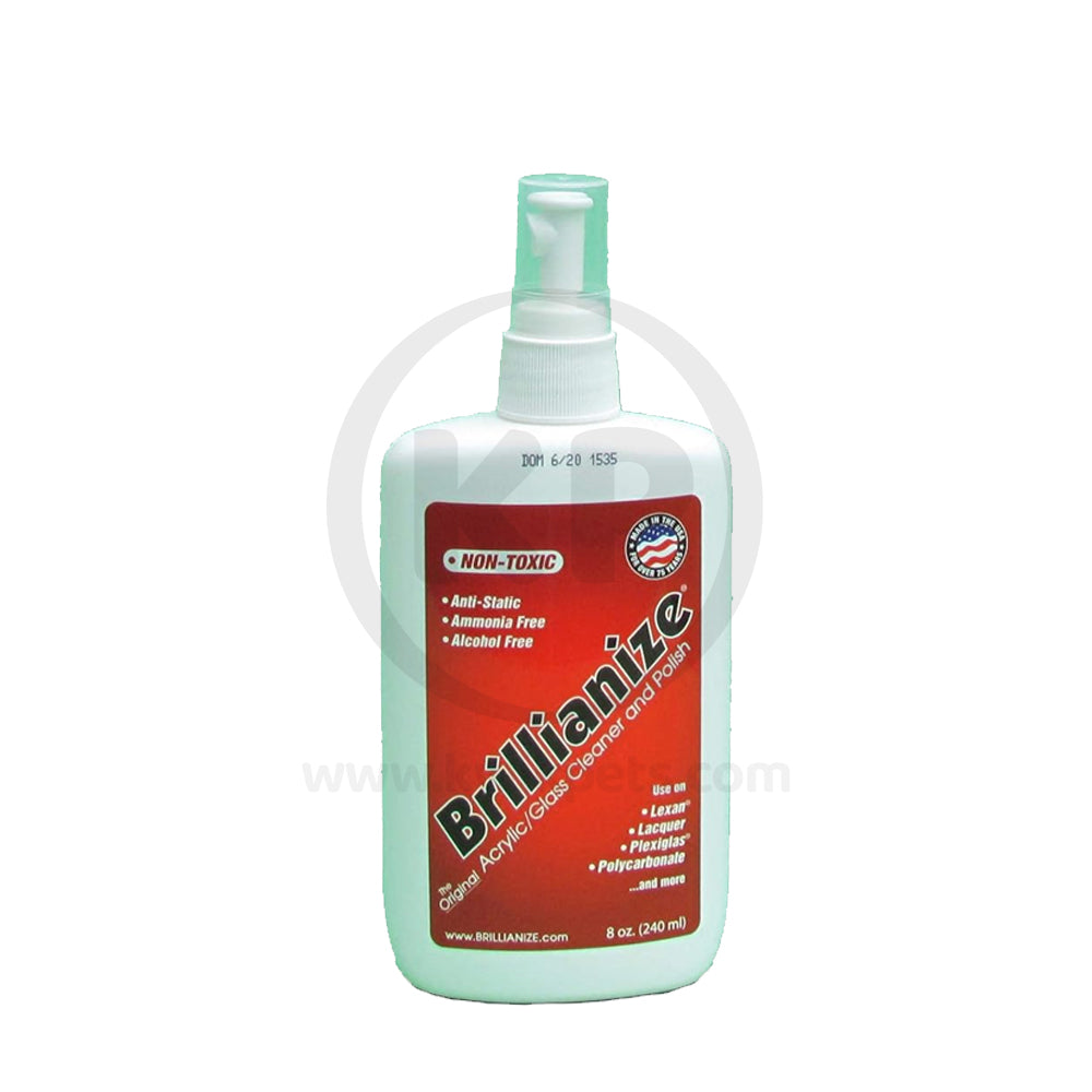 Brillianize Plastic Cleaner in Pump Spray Bottle 8-oz