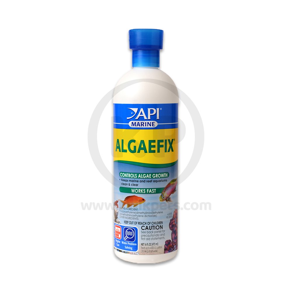 API AlgaeFix Marine Aquarium Algaecide 16-oz