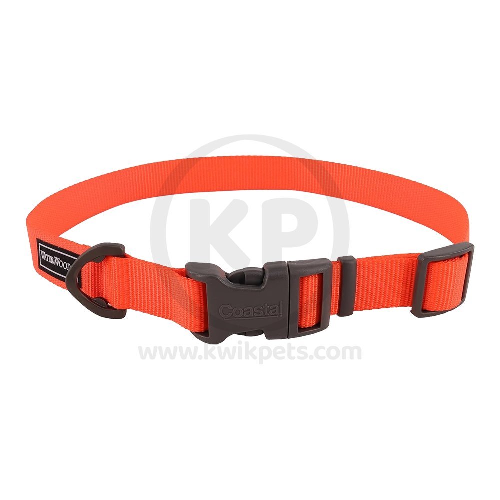 Coastal Water & Woods Adjustable Dog Collar Safety Orange 14-20 in