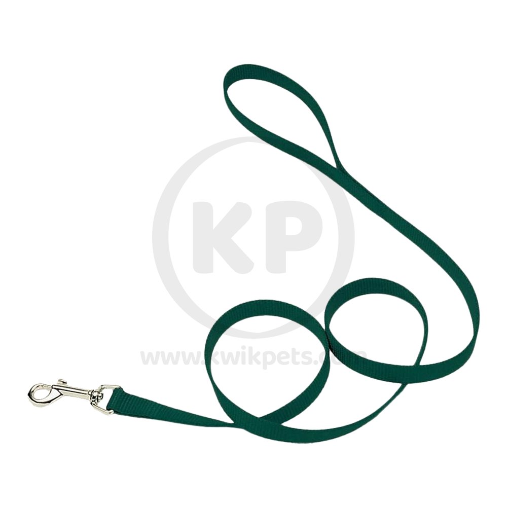 Coastal Single-Ply Nylon Dog Leash Hunter Green 3/8 in X 6 ft