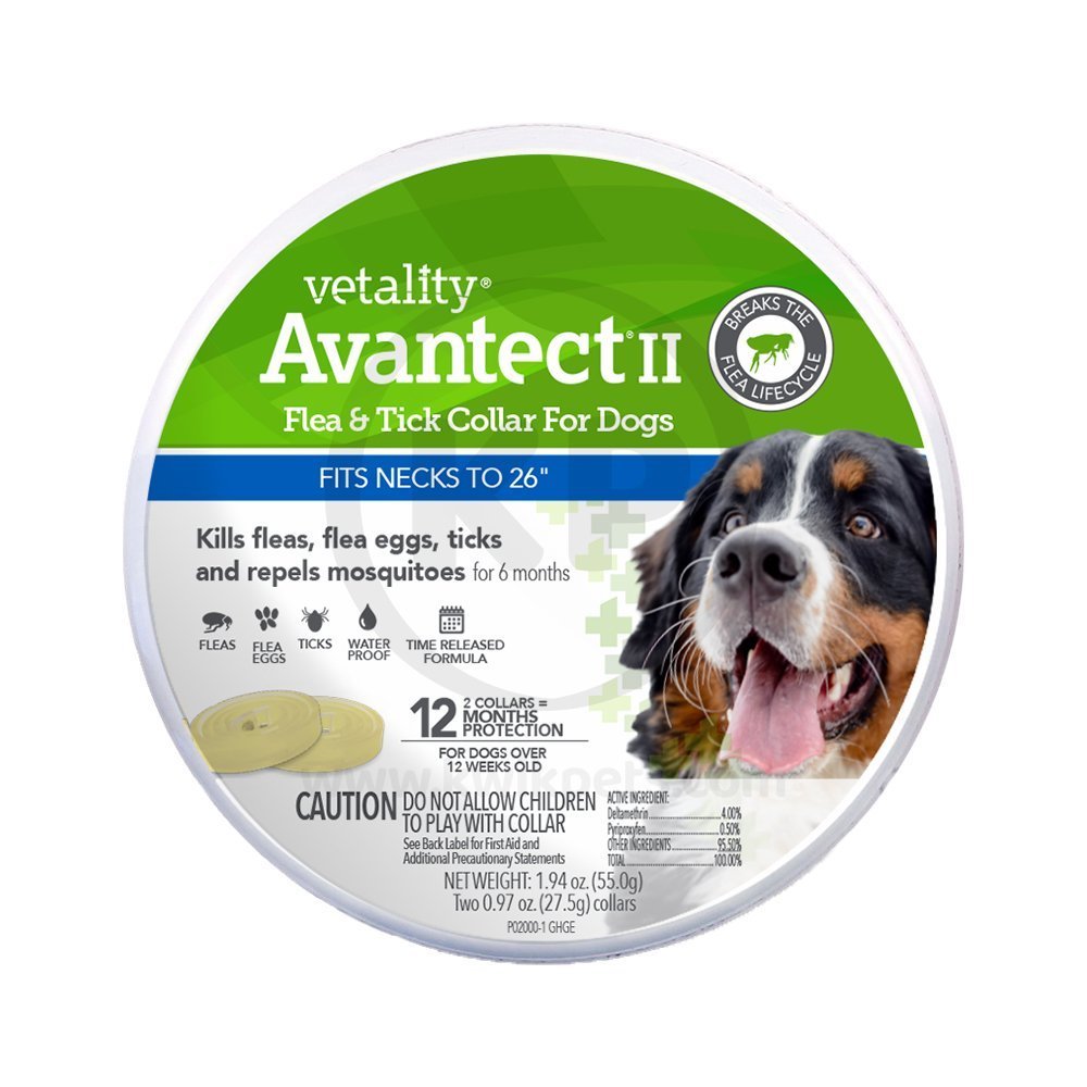 Vetality Avantect II Flea & Tick Collar for Dogs 2-Count 26-in