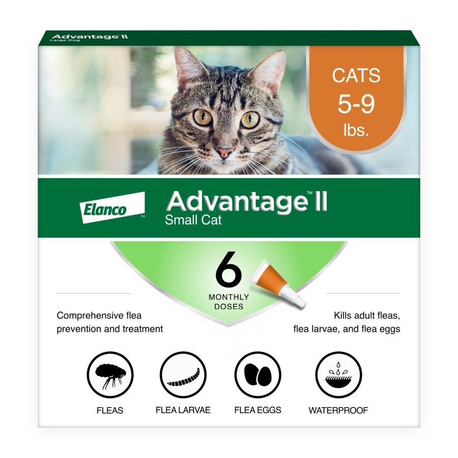 Elanco Advantage II 6-Month Supply Topical Flea Treatment & Prevention for Small Cats 5-9 lbs