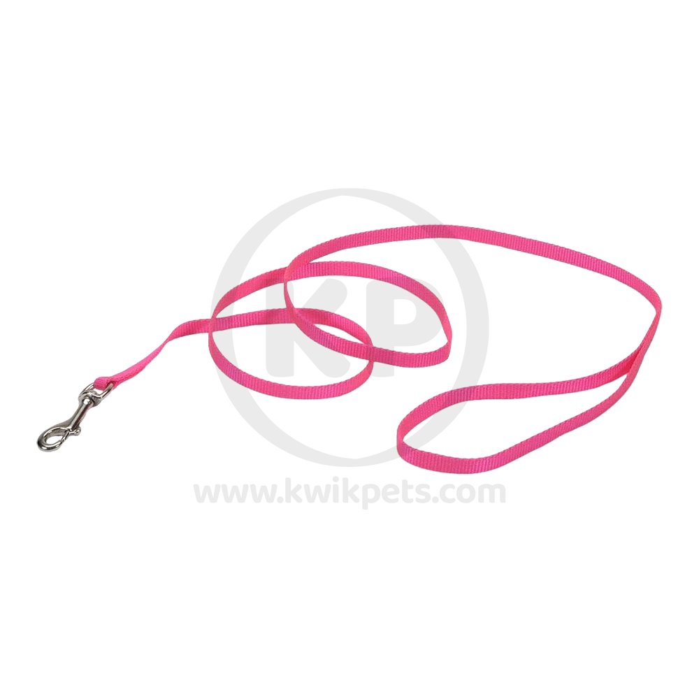 Coastal Single-Ply Nylon Dog Leash Pink Bright 3/8 in X 6 ft