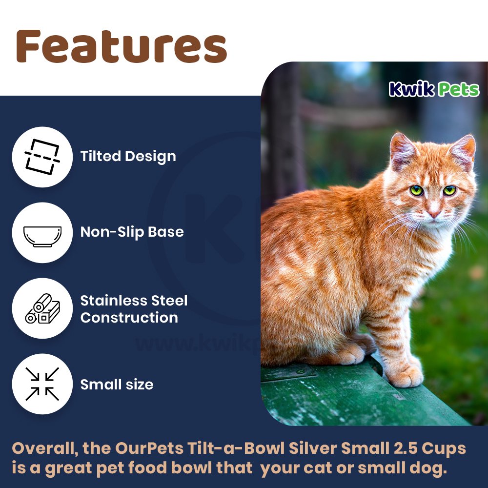 OurPets Tilt-a-Bowl Silver Medium 3.5 Cups