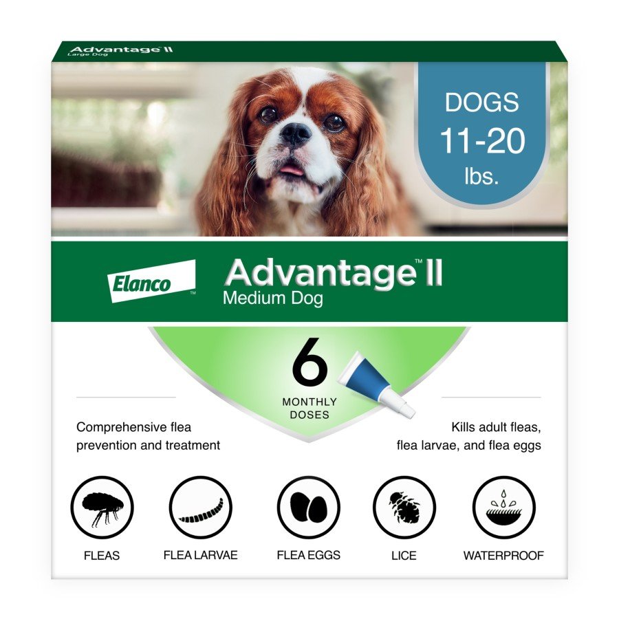 Elanco Advantage II 6-Month Supply Topical Flea Treatment & Prevention for Medium Dogs 11-20 lbs