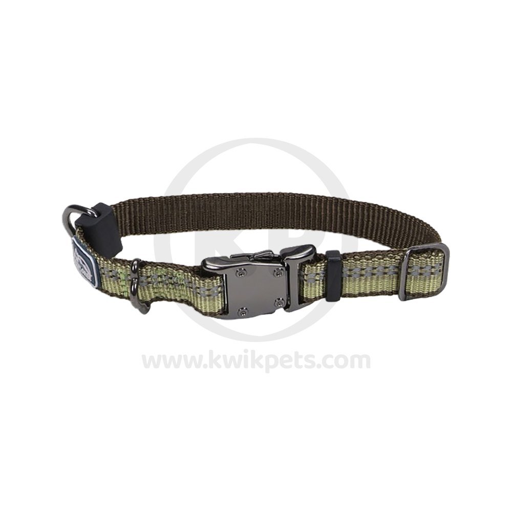 Coastal K9 Explorer Reflective Adjustable Dog Collar Fern 1 in x 12-18 in