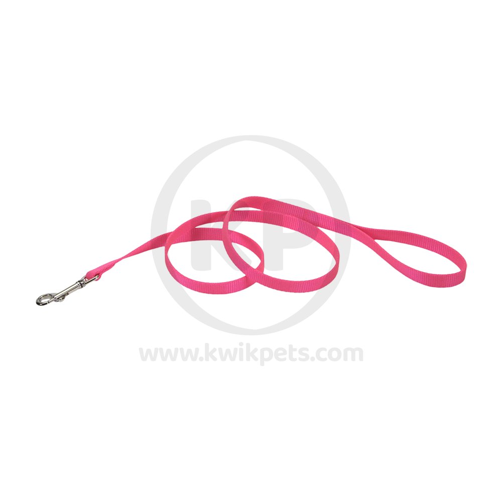 Coastal Single-Ply Nylon Dog Leash Neon Pink 1 in X 6 ft