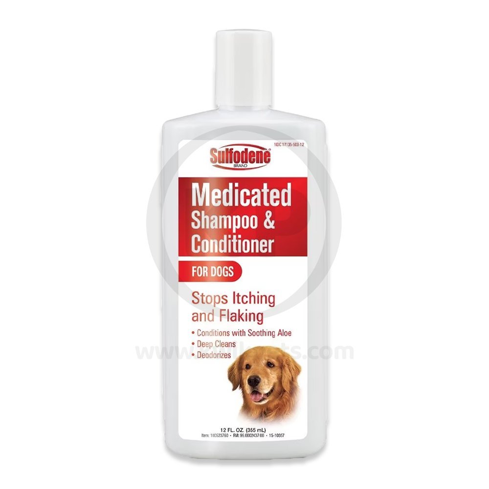 Sulfodene Medicated Shampoo & Conditioner for Dogs 12-oz