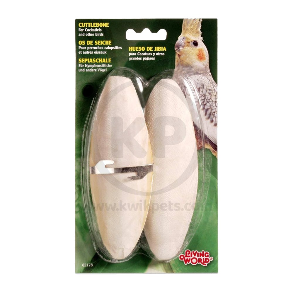 Living World Cuttlebone Bird Toy Large 2 Count 15-18 cm