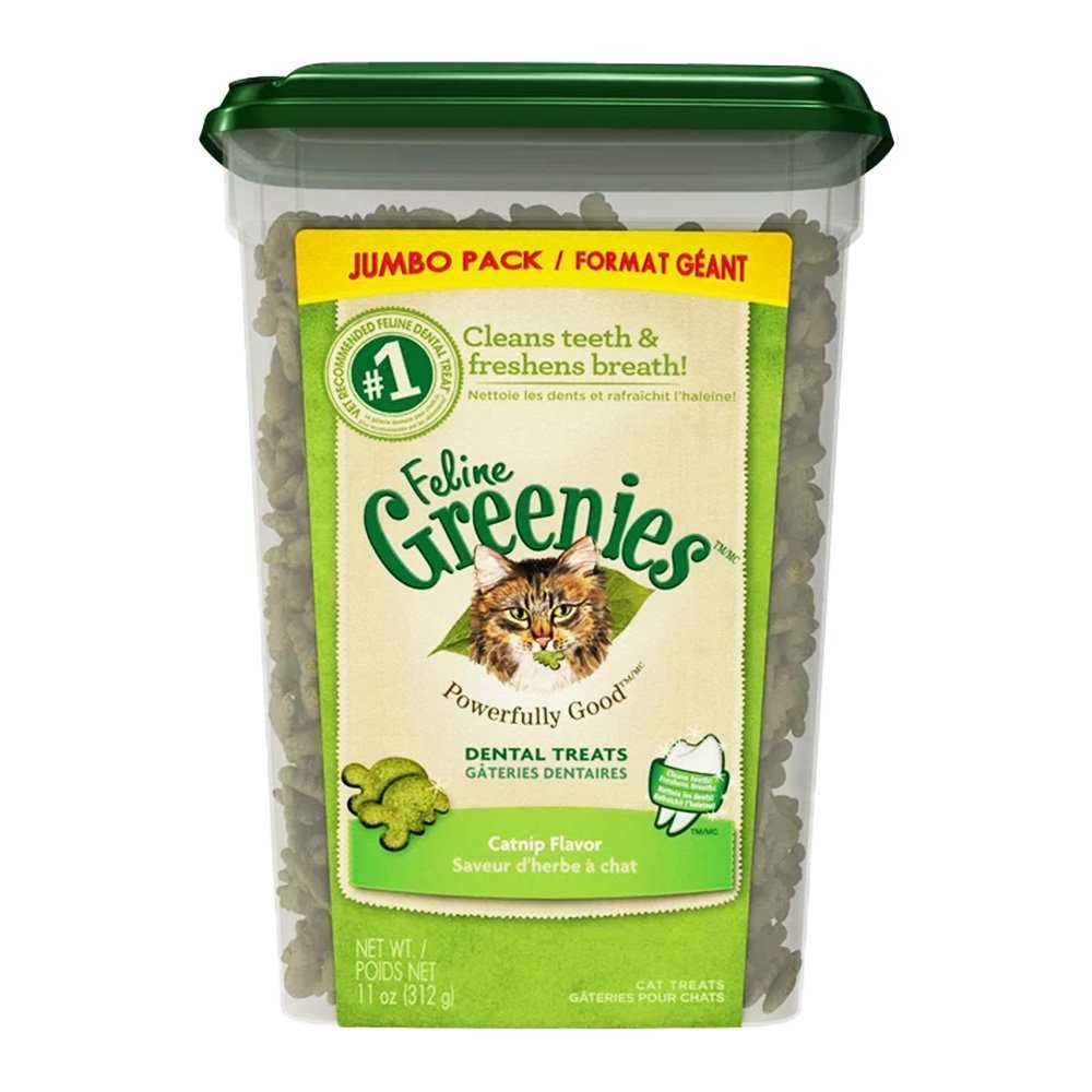 Greenies Feline Catnip Dog Dental Treats Jumbo Tub 11-oz