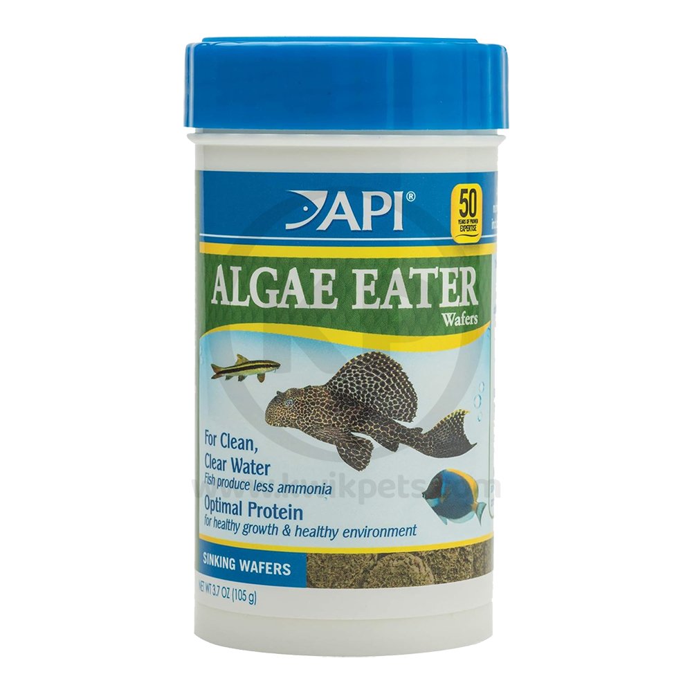 API Algae Eater Premium Sinking Wafer Fish Food 3.7-oz