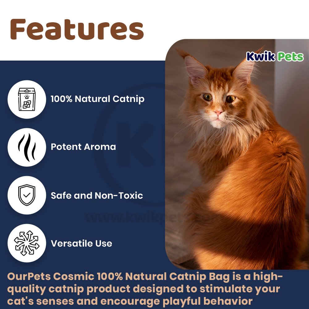 OurPets Cosmic 100% Natural Catnip Jar 2.25-oz