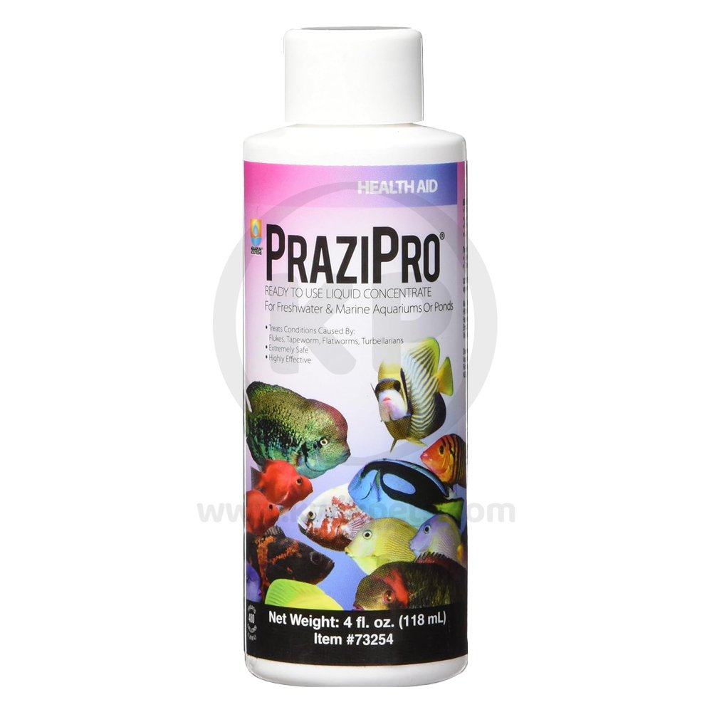 Aquarium Solutions Prazipro Liquid Treatment 4-oz