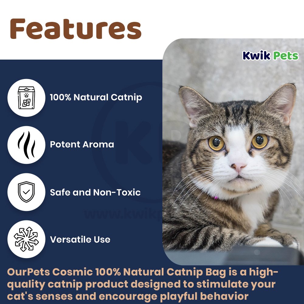 OurPets Cosmic 100% Natural Catnip Jar 1.25-oz