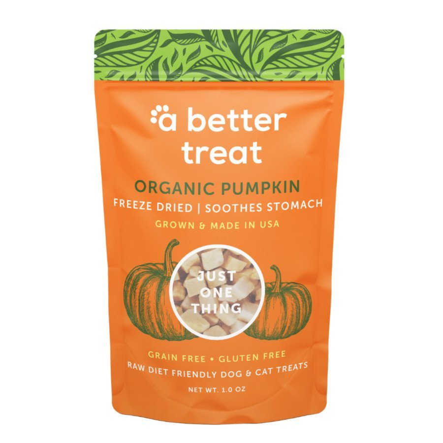 A Better Treat Just One Thing Freeze Dried Dog & Cat Treats USDA Organic Pumpkin 1-oz