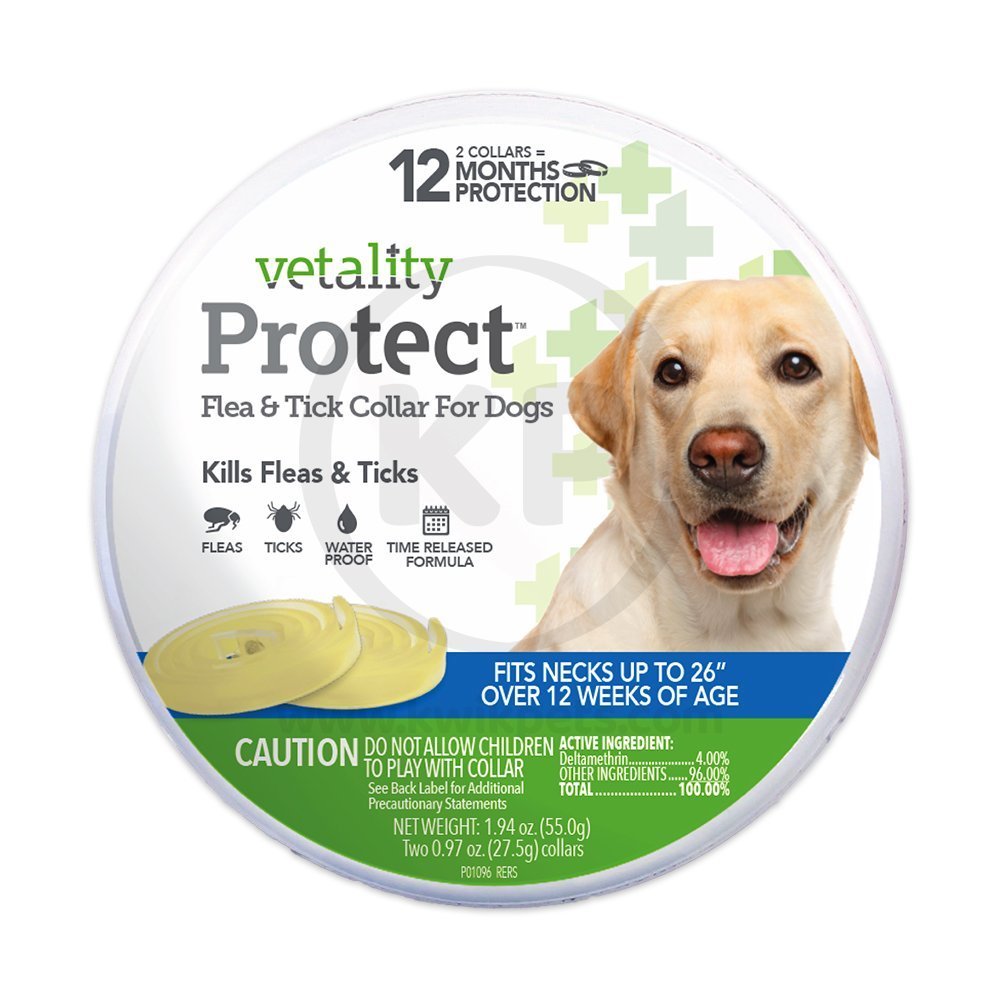 Vetality Protect Flea & Tick Dog Collar 2 Count