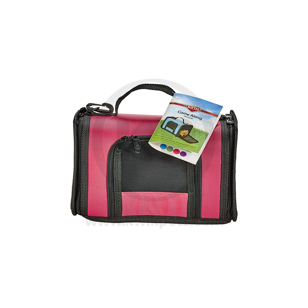 Kaytee Come Along Pet Carrier Small