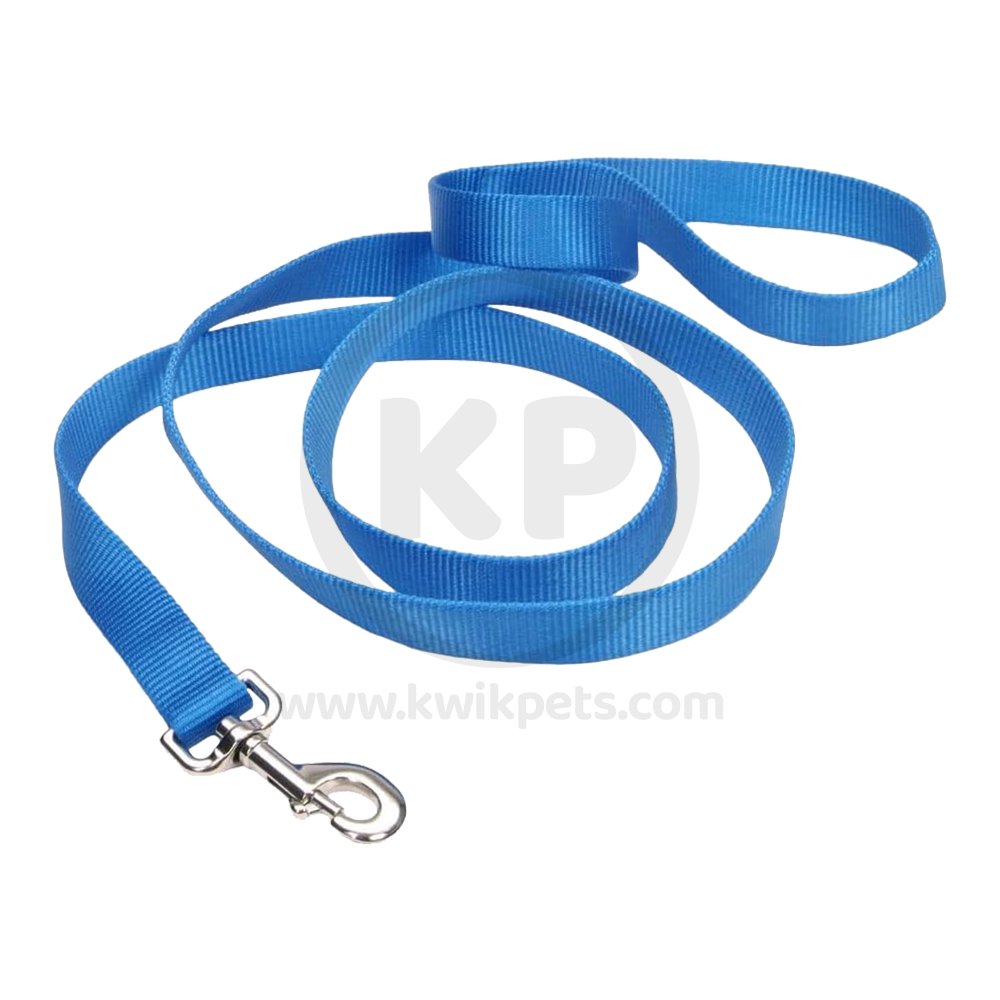 Coastal Single-Ply Nylon Dog Leash Blue 3/8 in X 6 ft