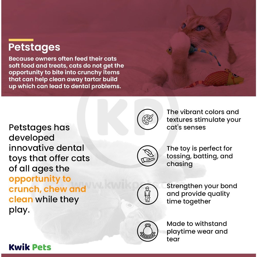 Petstages Dental Health Catnip Chew Mice Cat Toy Multicolor One Size 2 Count