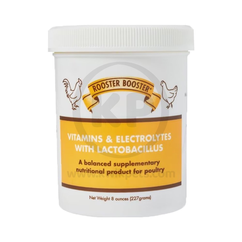 Rooster Booster Vitamins & Electrolytes Lacto Bacillus Poultry Supplement 8-oz