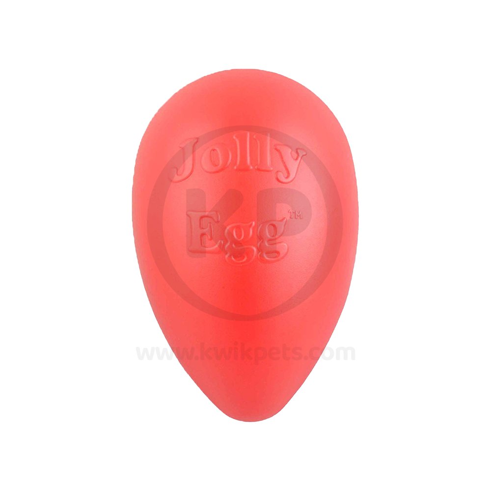 Jolly Pet Egg Hard Plastic Dog Toy Red Small 8-in