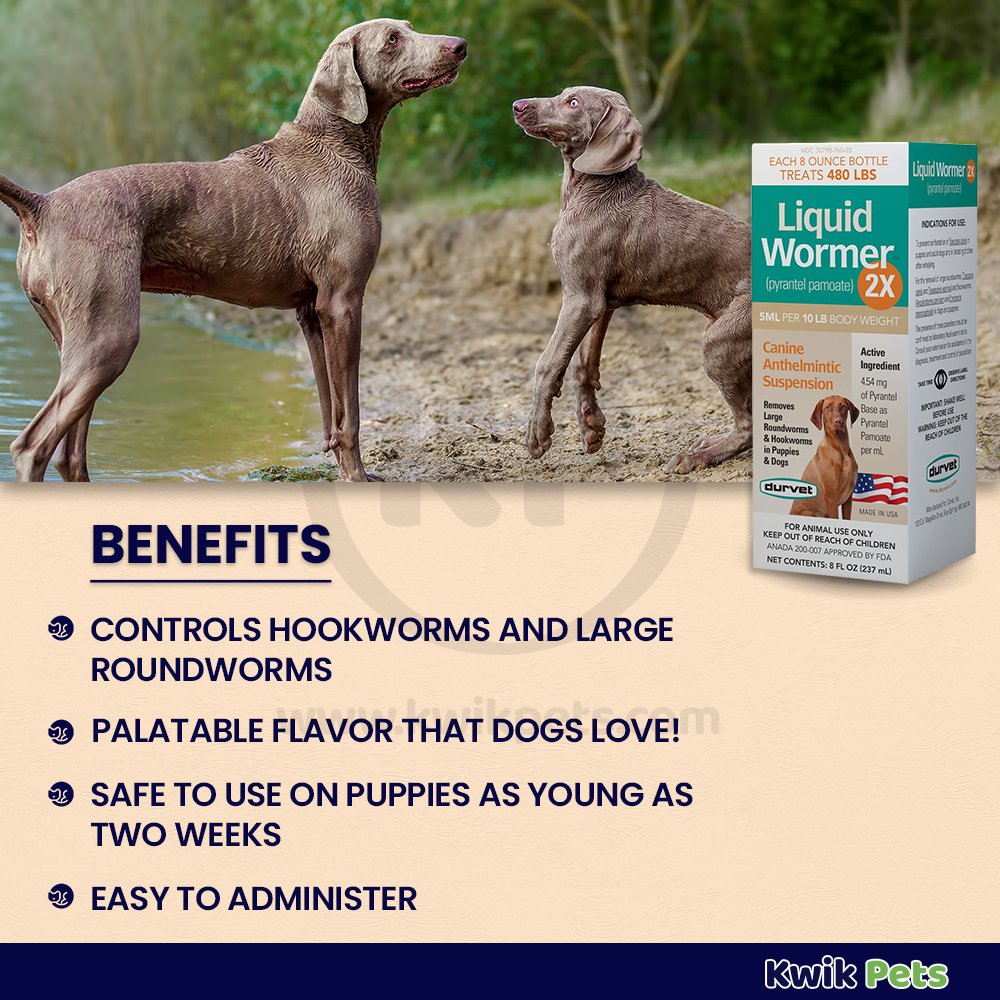 Durvet Liquid Wormer 2X for Dogs 8-oz