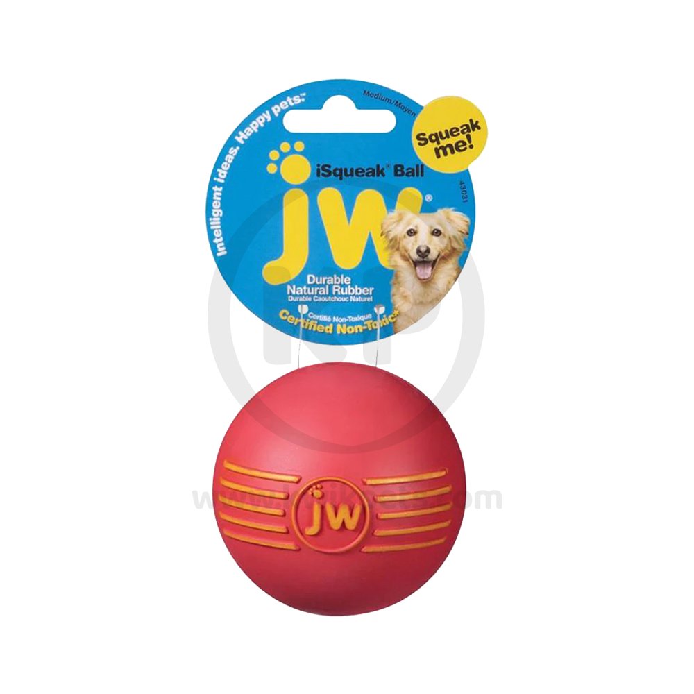 JW Pet iSqueak Ball Dog Toy Assorted Medium