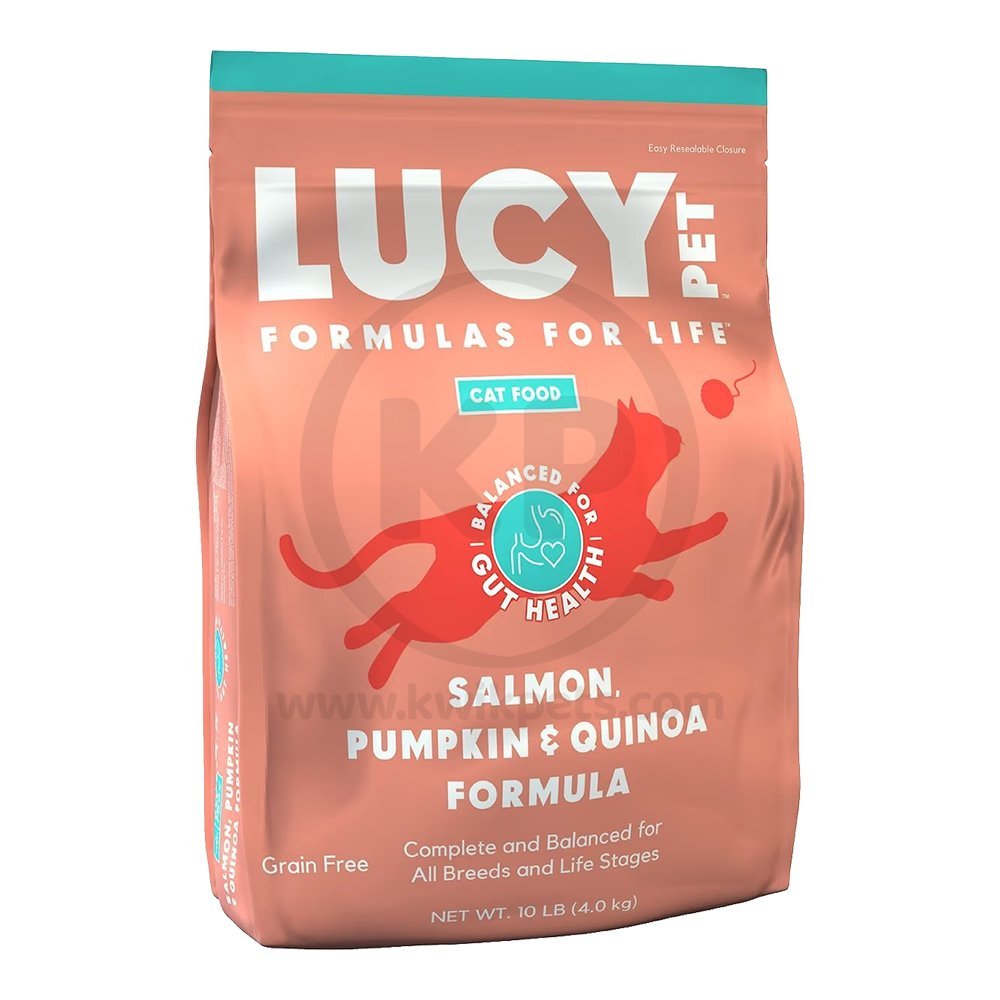 Lucy Pet Products Formulas for Life Dry Cat Food Salmon Pumpkin & Quinoa 4-lb