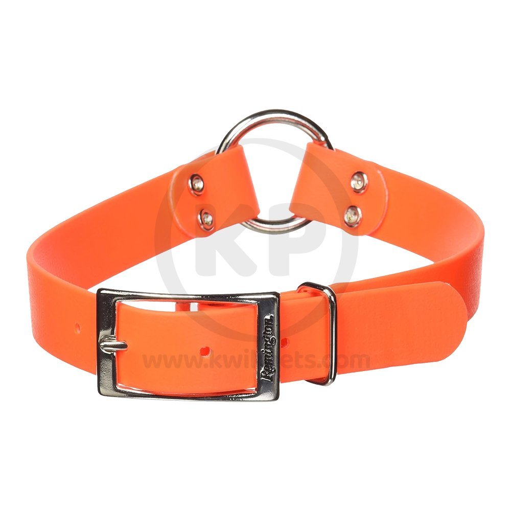 Remington® Waterproof Hound Dog Collar with Center Ring Orange 1in X 22in