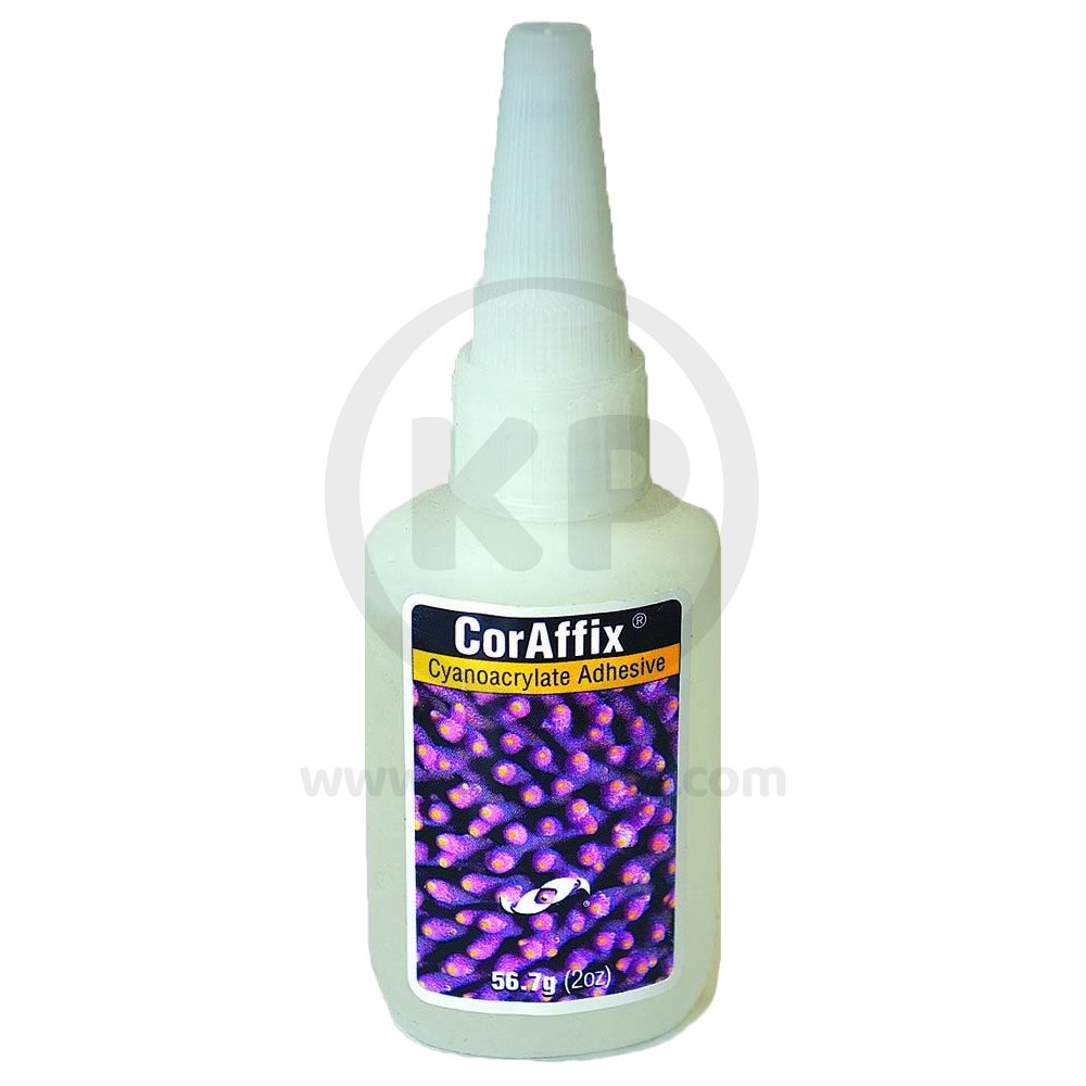 Two Little Fishies CorAffix Cyanoacrylate Adhesive 2-oz