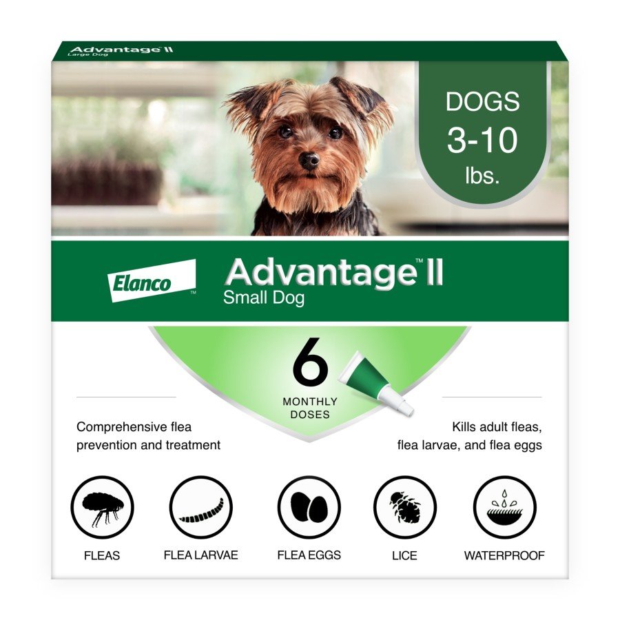 Elanco Advantage II 6-Month Supply Topical Flea Treatment & Prevention for Small Dogs 3-10 lbs