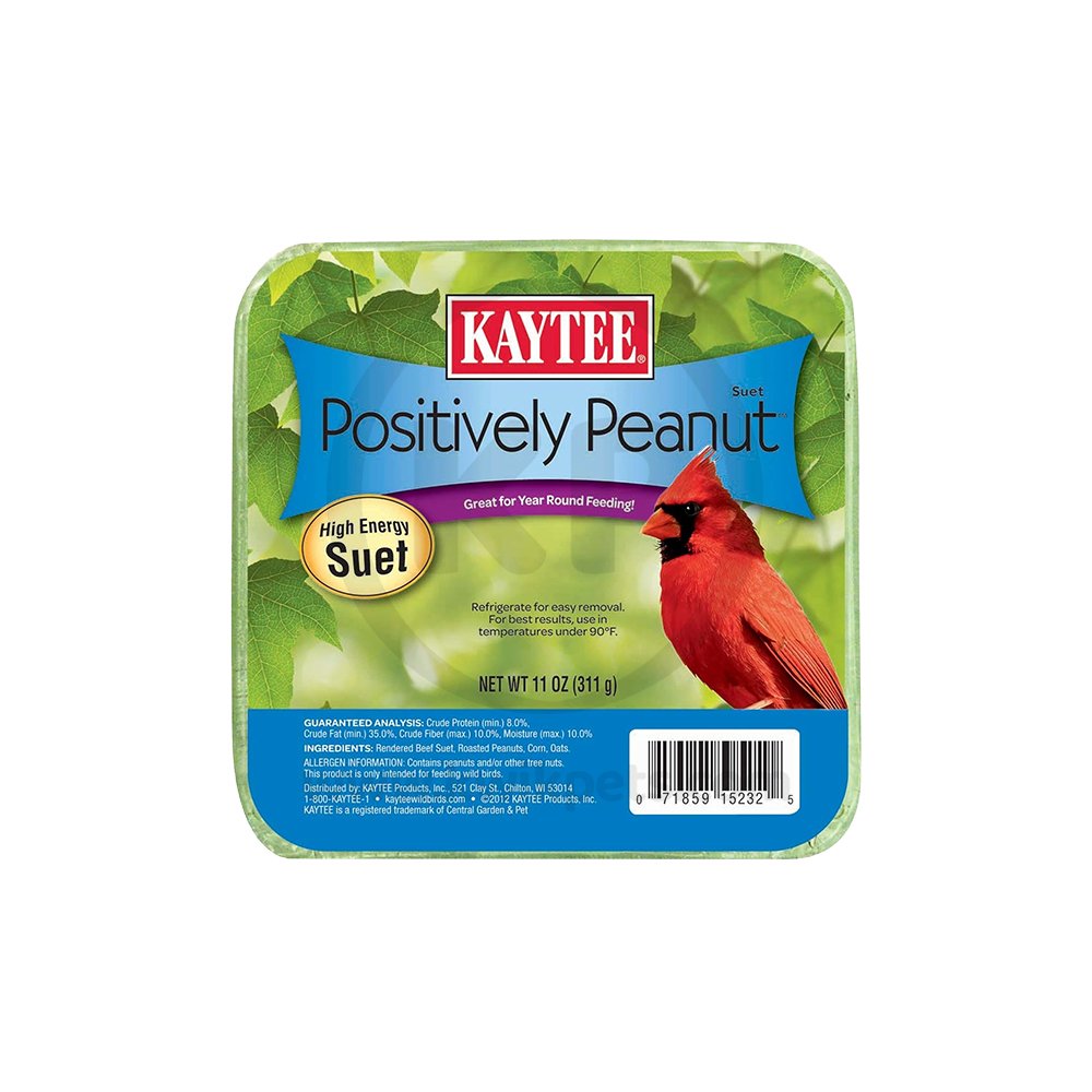 Kaytee Positively Peanut High Energy Wild Birds Mini Suet 11-oz