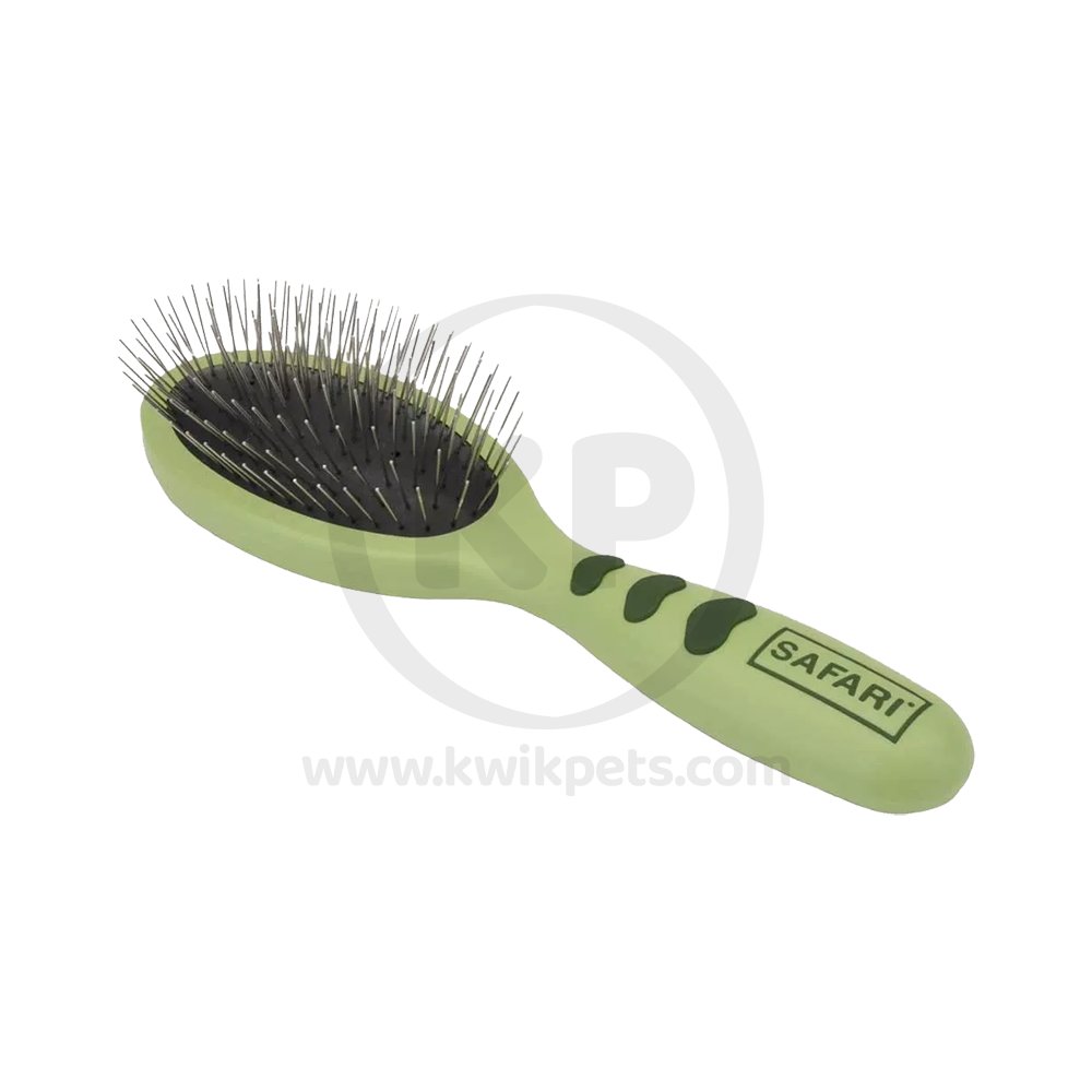 Coastal Safari Wire Pin Brush Green Small