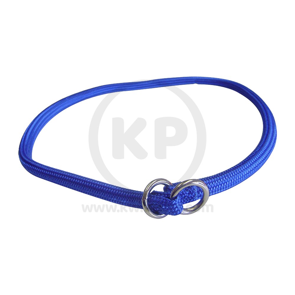 Coastal Round Nylon Dog Training Collar Blue 3/8 in X 18 in