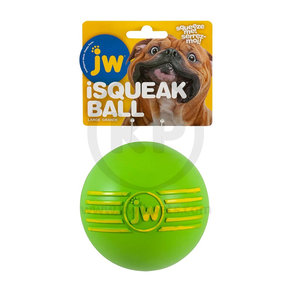 JW Pet iSqueak Ball Dog Toy Assorted Large