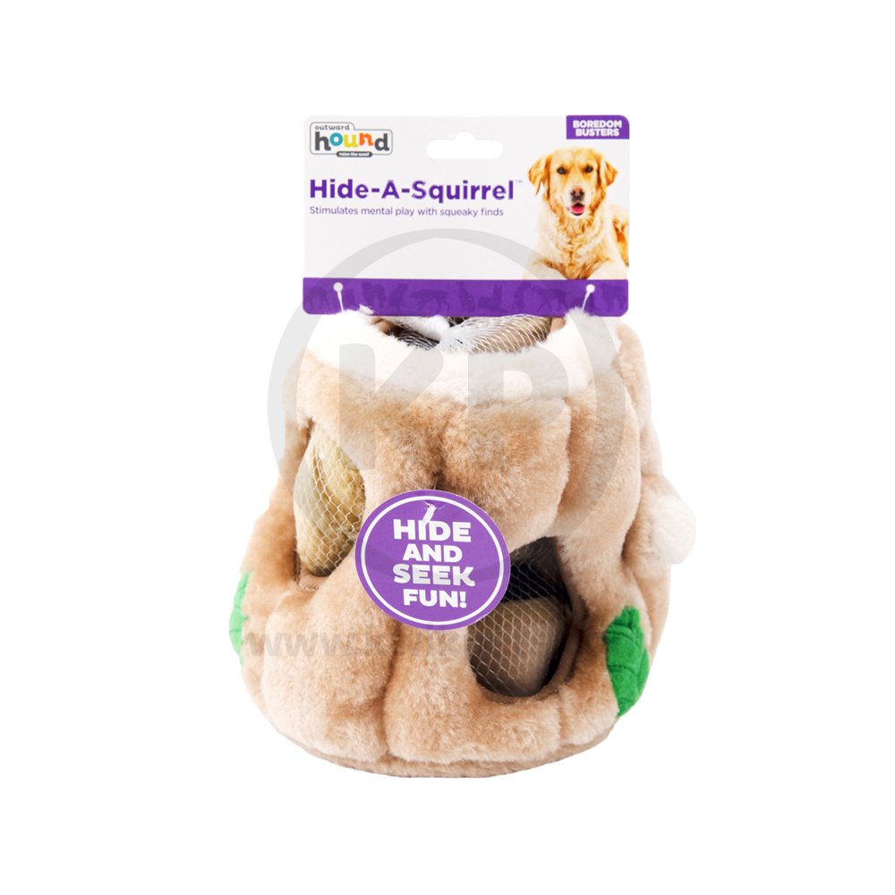 Outward Hound Hide-A-Squirrel Dog Toy Small