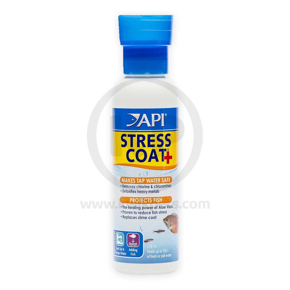 API Stress Coat Remedy No Pump 4-oz