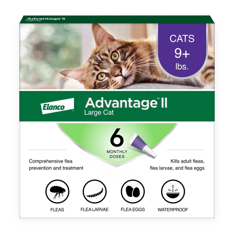 Elanco Advantage II 6-Month Supply Topical Flea Treatment & Prevention for Large Cats Over 9 lbs