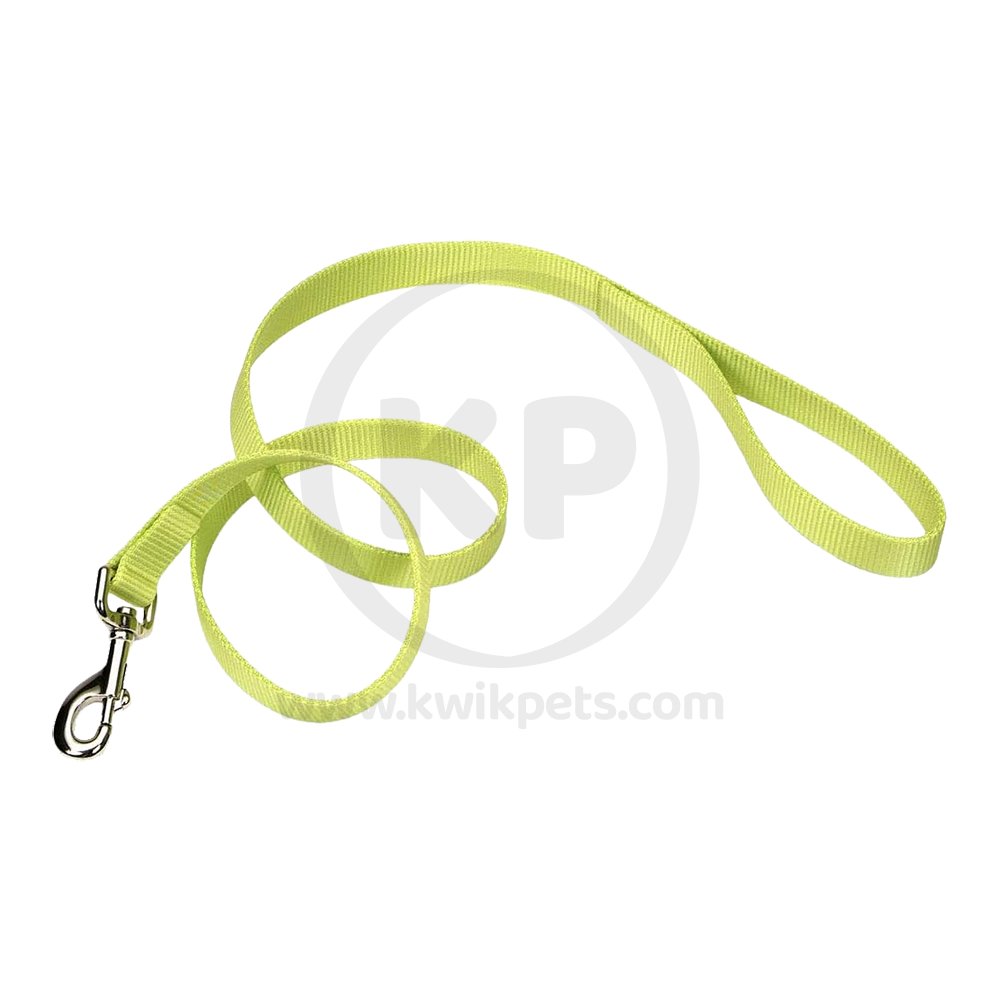 Coastal Single-Ply Nylon Dog Leash Lime 1 in X 6 ft