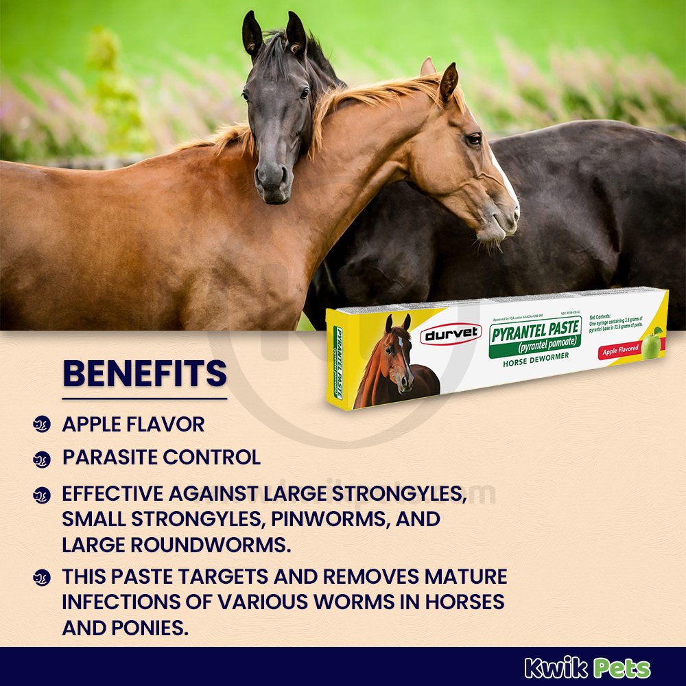 Durvet Pyrantel Paste Apple Flavored Horse Dewormer 23.6g