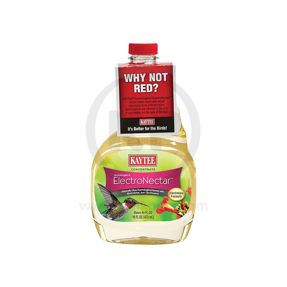 Kaytee Hummingbird ElectroNectar Clear Food Concentrate 16-oz