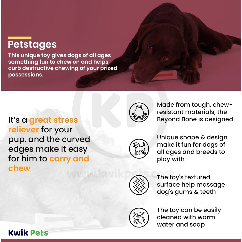 Petstages Beyond Bone Chew Dog Toy