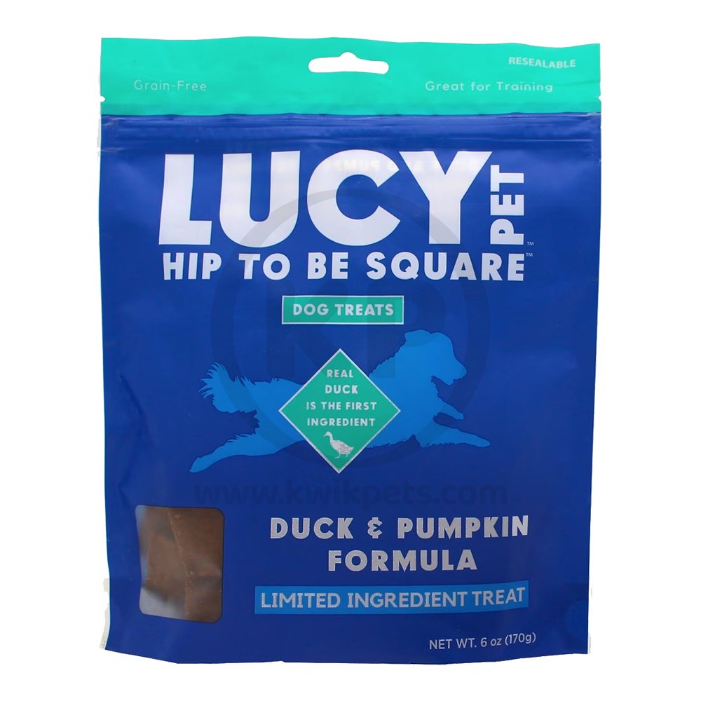 Lucy Pet Products Hip to Be Square Limited Ingredient Dog Treats Duck & Pumpkin 6-oz