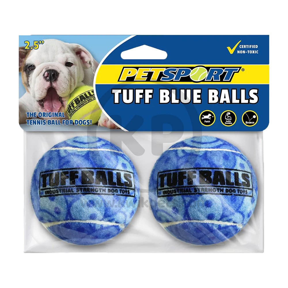 Petsport USA Tuff Ball Dog Toy Blue 2 Count 2.5-in