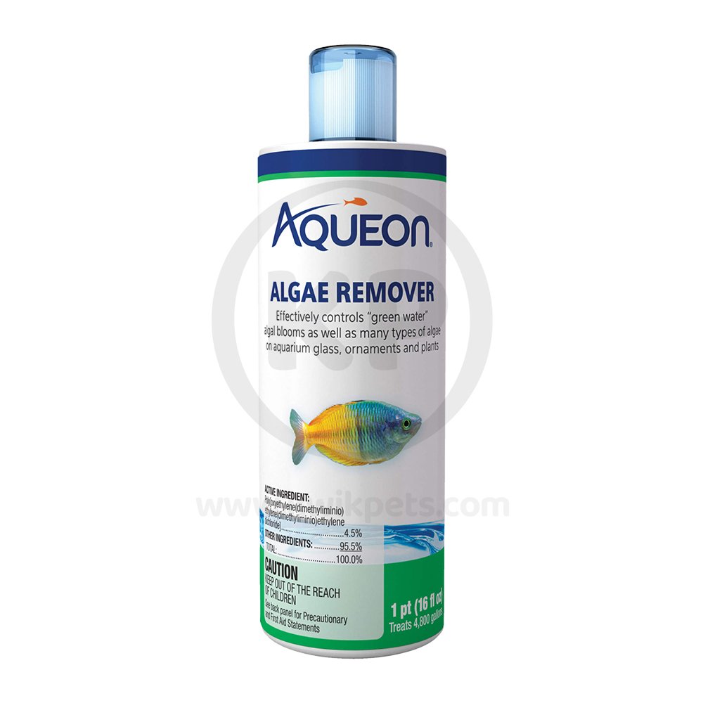 Aqueon Algae Remover 16-oz