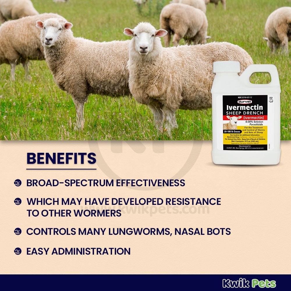 Durvet Ivermectin Sheep Drench Dewormer 8-oz