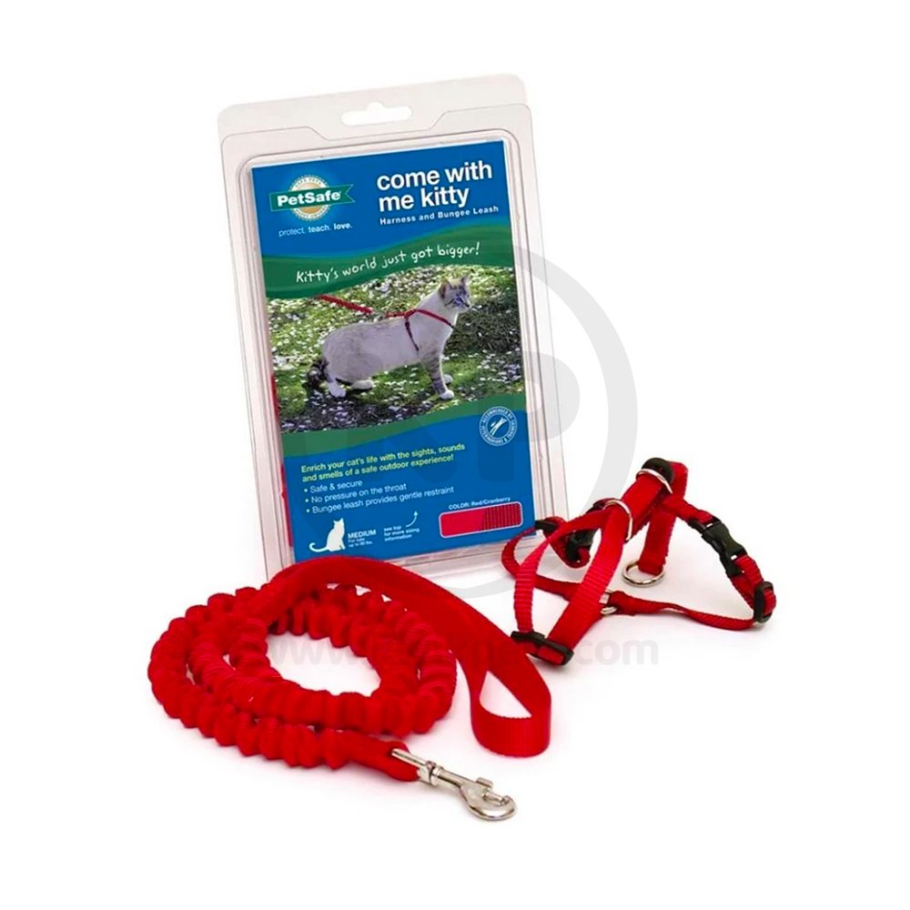 PetSafe Premier Come With Me Kitty Harness & Bungee Leash Combo Red/Cranberry Medium