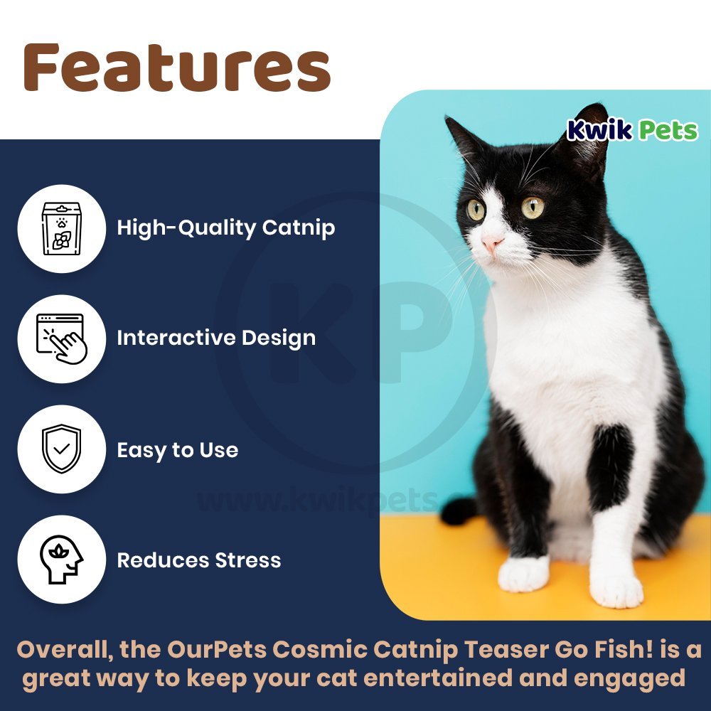 OurPets Cosmic Catnip Teaser Go Fish! Cat Toy