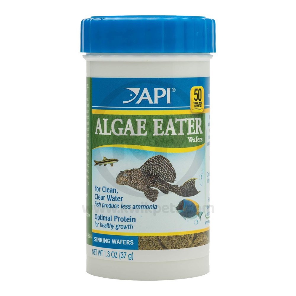 API Algae Eater Premium Sinking Wafer Fish Food 1.3-oz